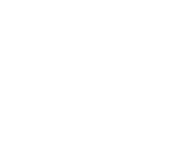 SAFER